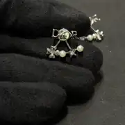 Dior Stars Küpe 1