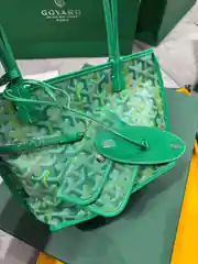 Goyard Mini Anjou Limited Çanta 2