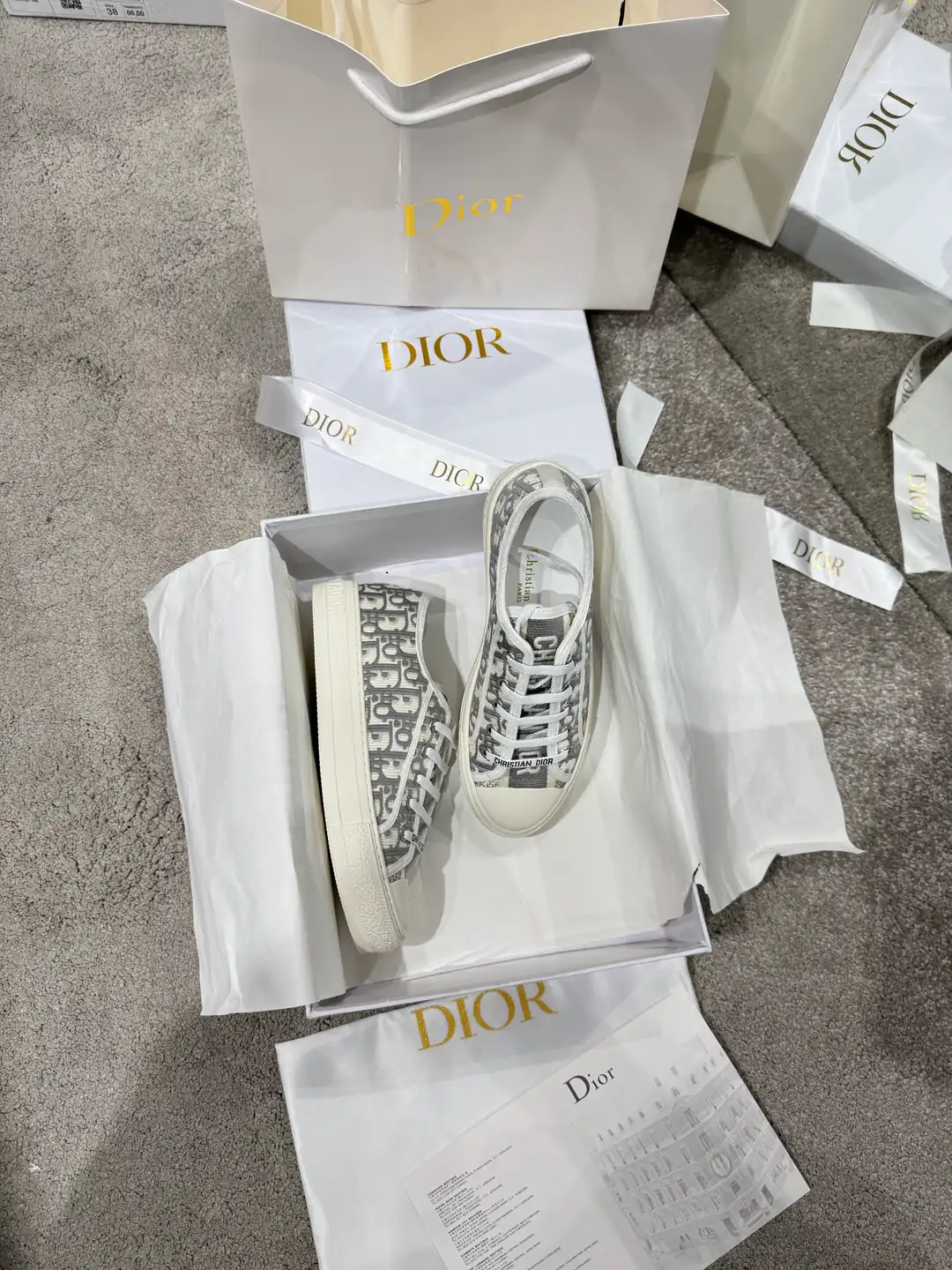  Dior Walk'n'Dior Gri Kadın Kanvas Sneaker