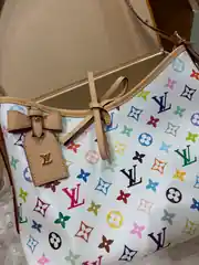 Louis Vuitton LV x TM CarryAll PM 2