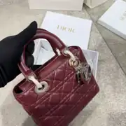 Dior Small Bordo Layd 2