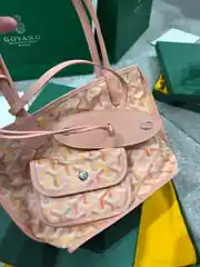 Goyard Mini Anjou Limited Çanta 2