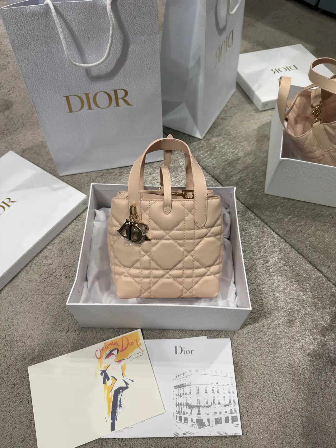 Dior Pembe Small Toujours Vertical Kadın Deri Çanta
