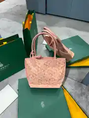 Goyard Mini Anjou Limited Çanta 1