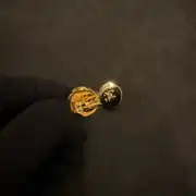 Celine Gold Küpe 1