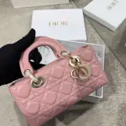 Dior Small Layd Çanta 2