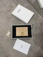 Celine Bej Deri Kartlık 1