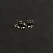 Dior Stars Küpe 2